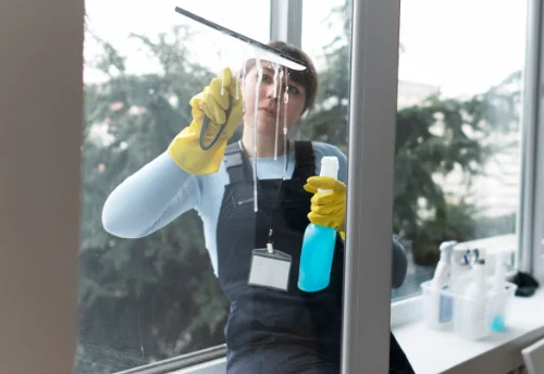 Nettoyage de vitres intérieures et extérieures à Ascou